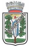 Carpino